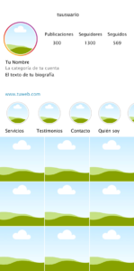 Planificar tu feed - Plantilla editable